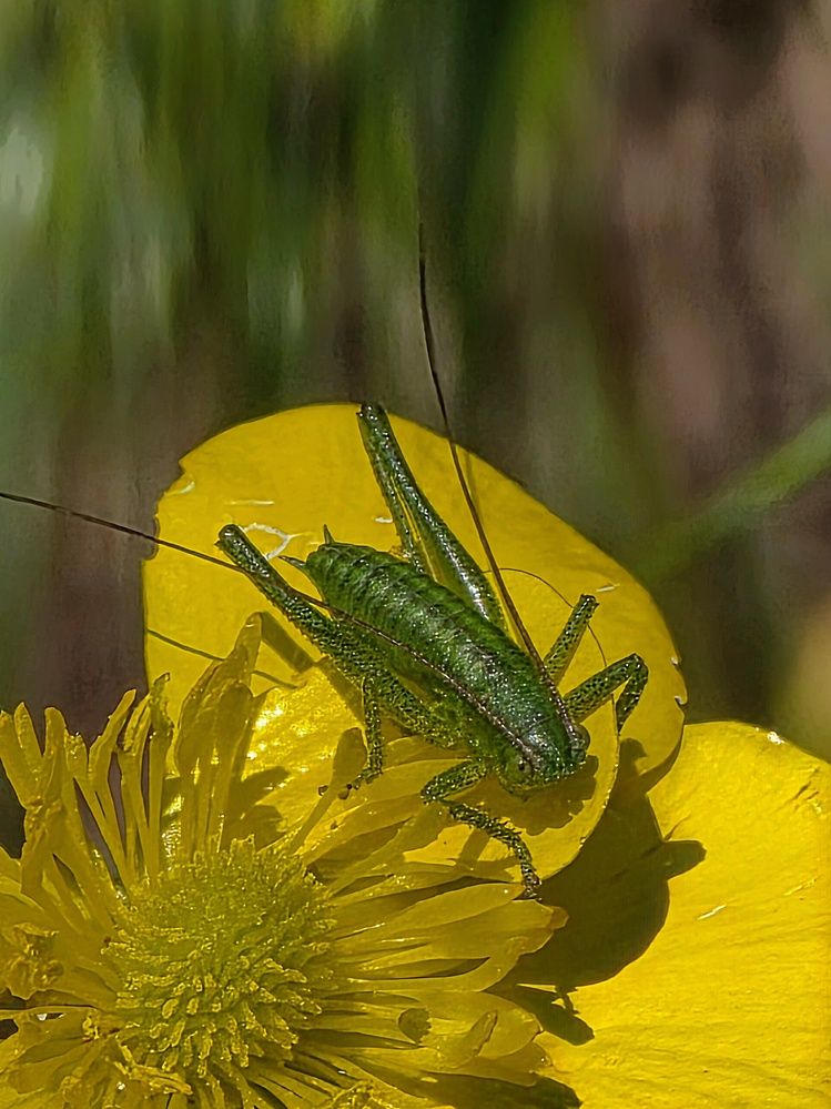 Photograph by Куделенко Оксана