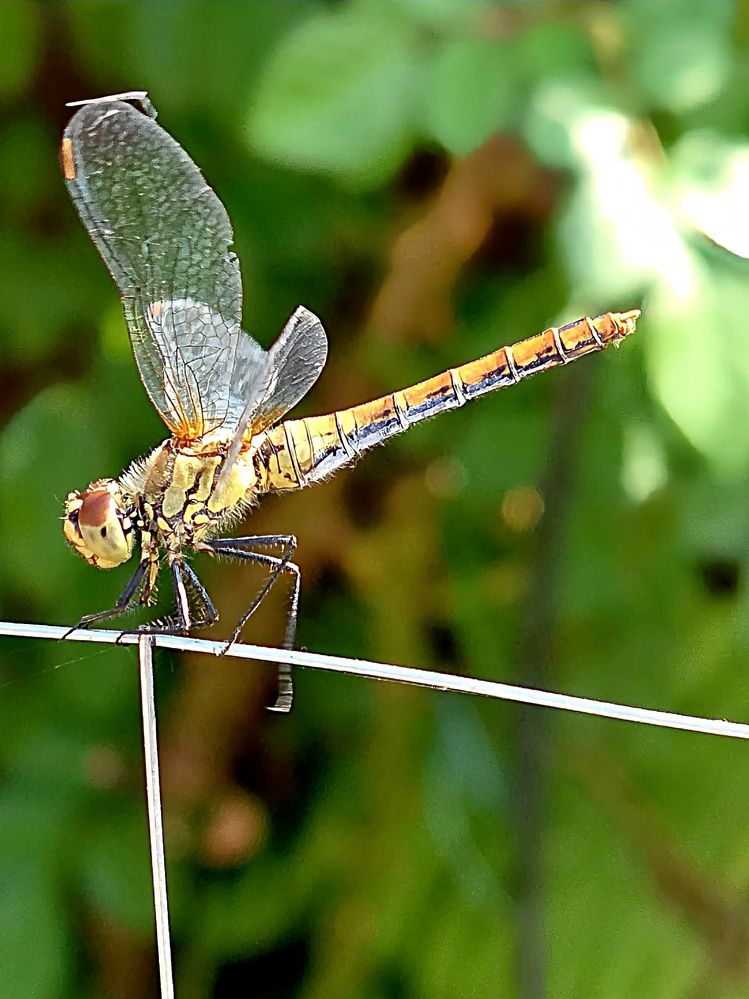 Photograph by Куделенко Оксана