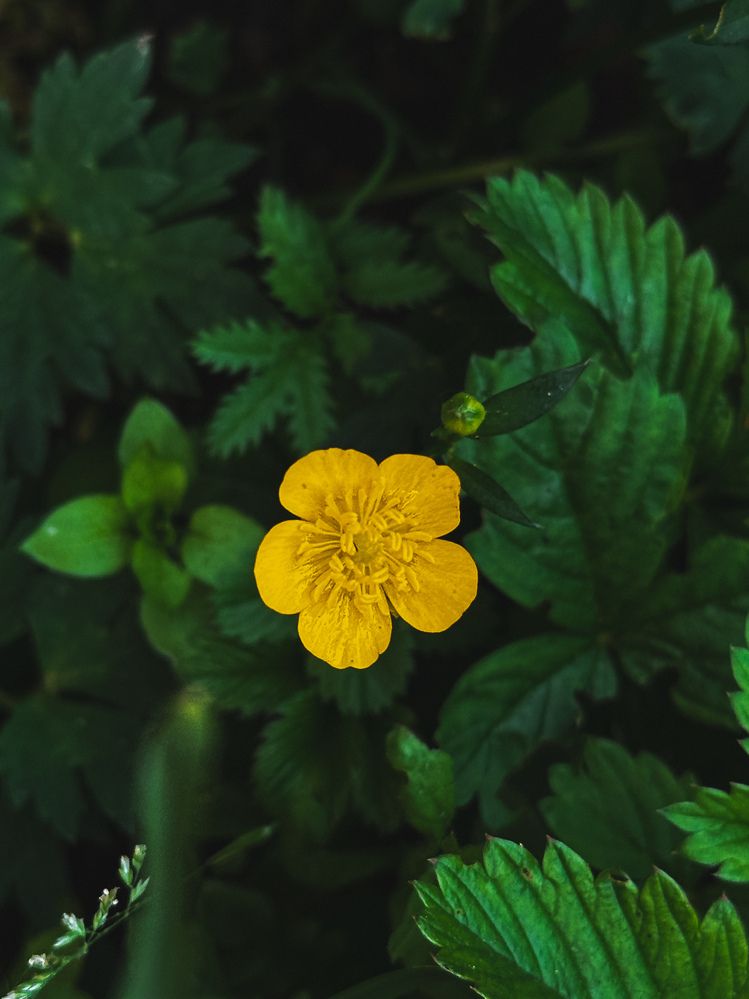 Фотография автора Анастасия