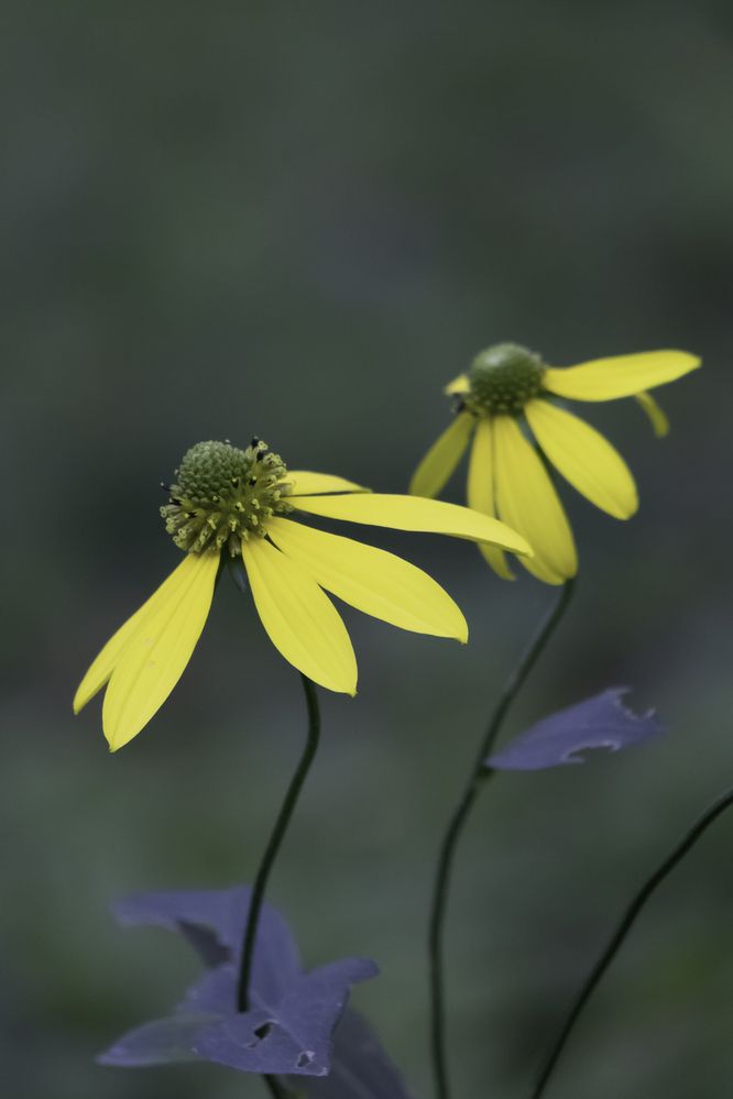 Фотография автора Александра Константинова