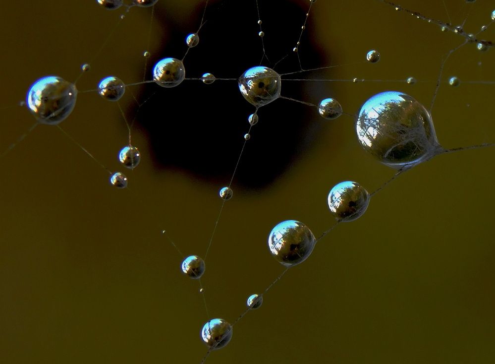 Photograph by Сергей Чеченов