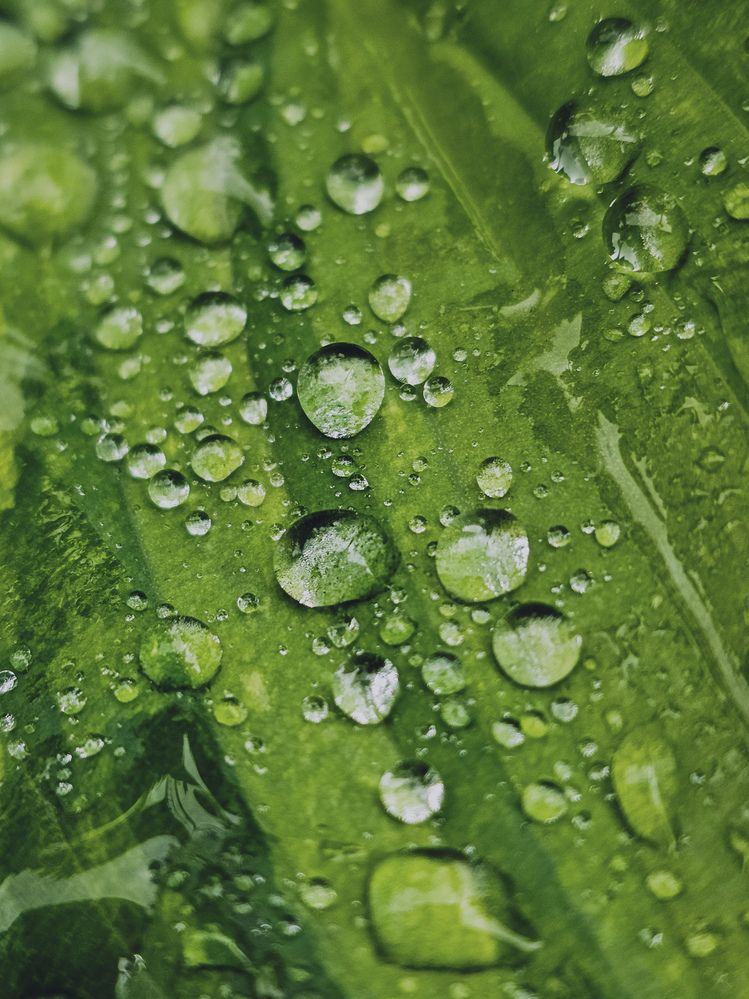 Photograph by Хельга Кольцова