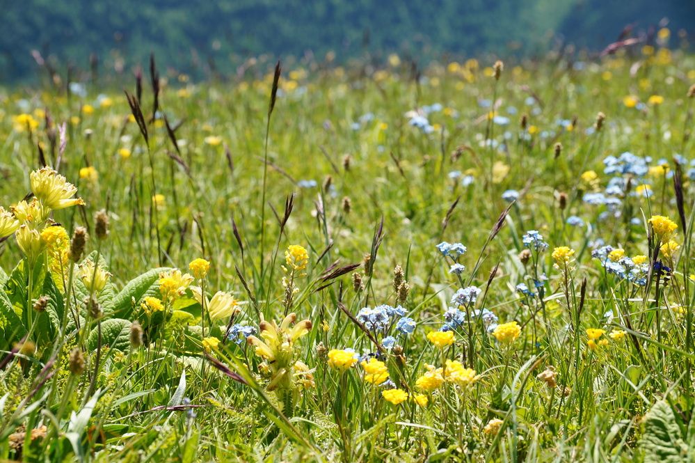 Фотография автора Маргарита Тетёркина