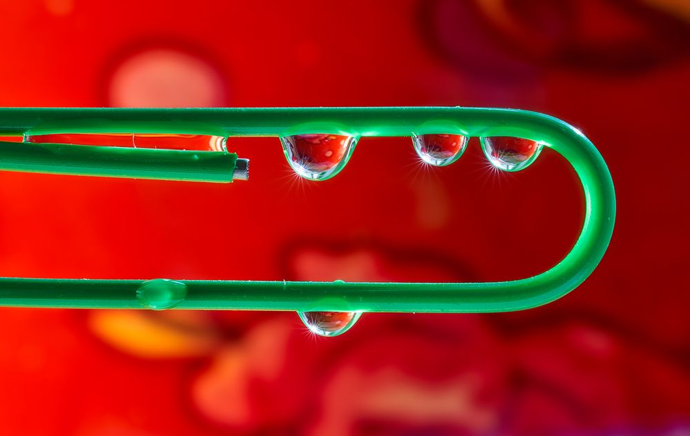 Photograph by Boris Bekelman