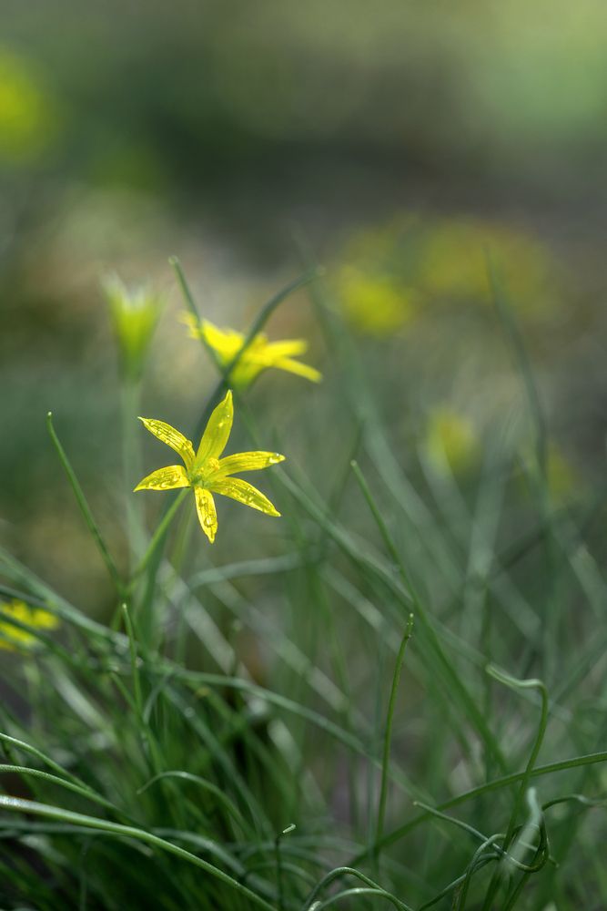 Photograph by Завьялова Людмила