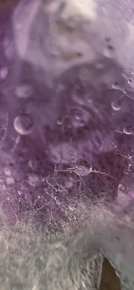 Фотография автора Diana