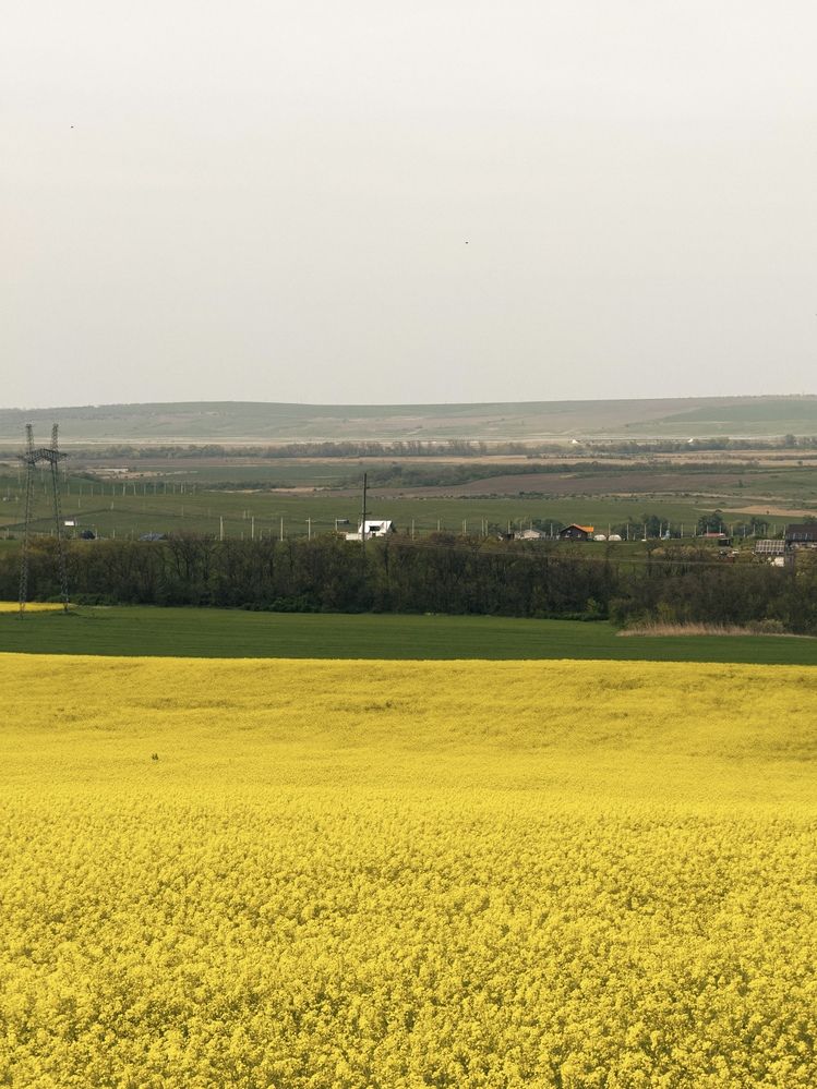 Photograph by Анна Голубцова