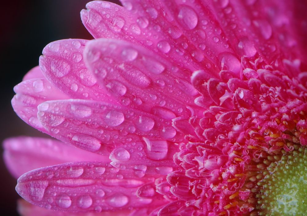 Фотография автора Evgeniya Fedorova