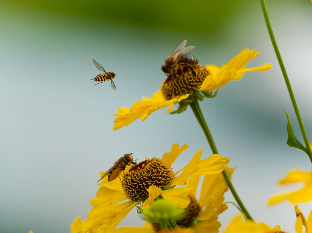 Photograph by Денис Горелов