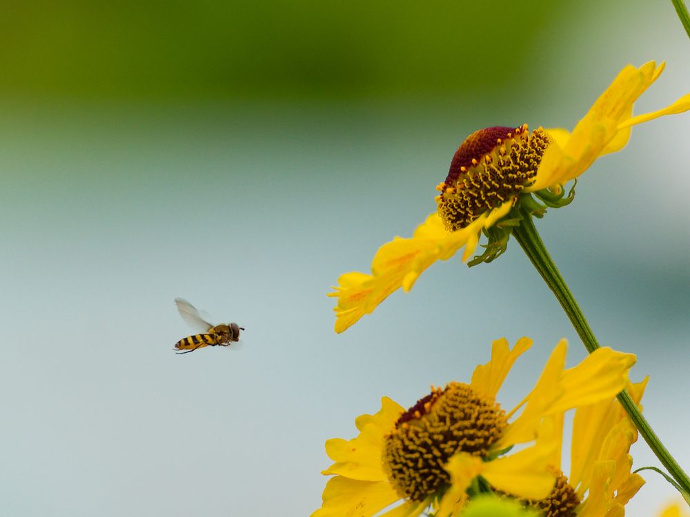 Photograph by Денис Горелов