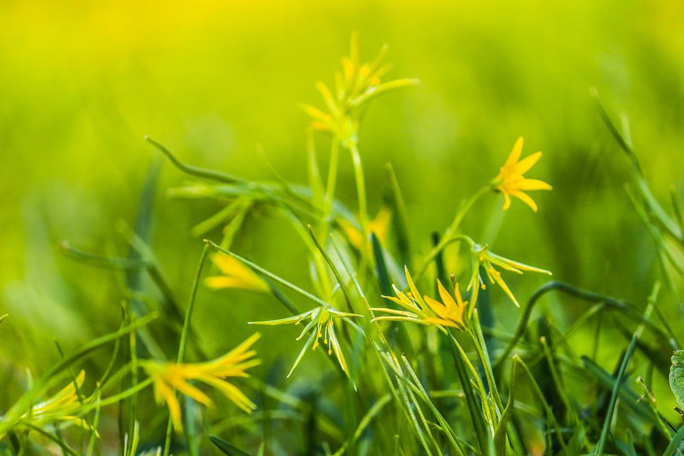 Photograph by Хельга Кольцова