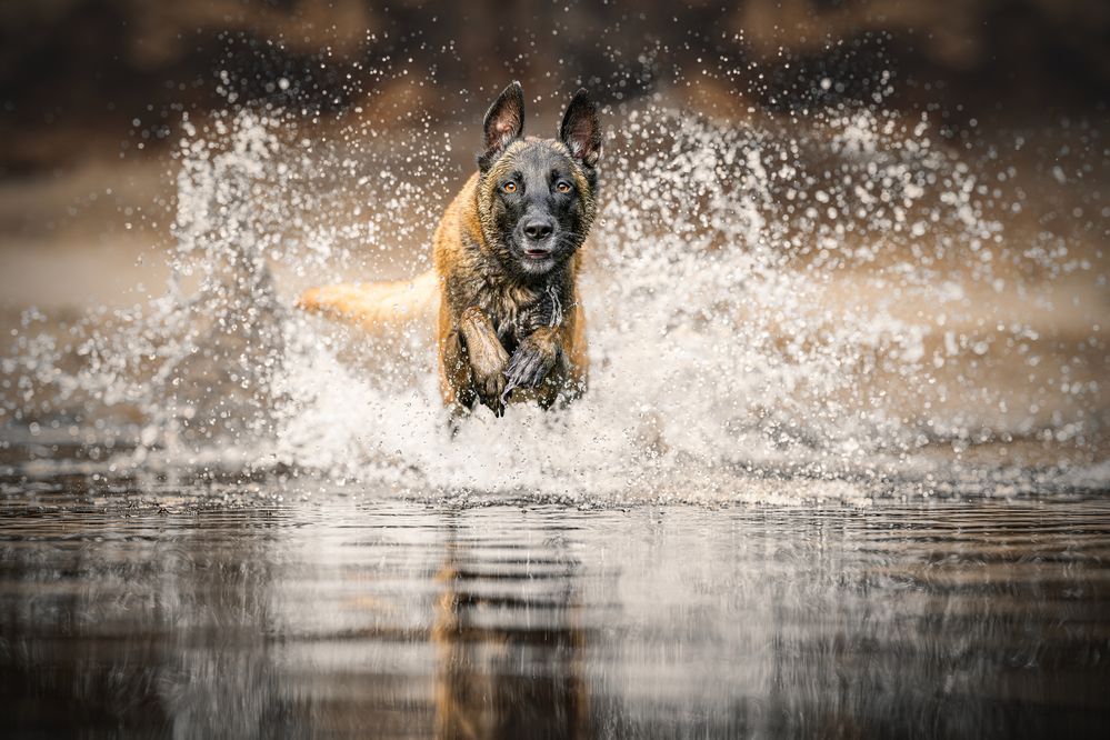 Photograph by Lucie Nermuťová