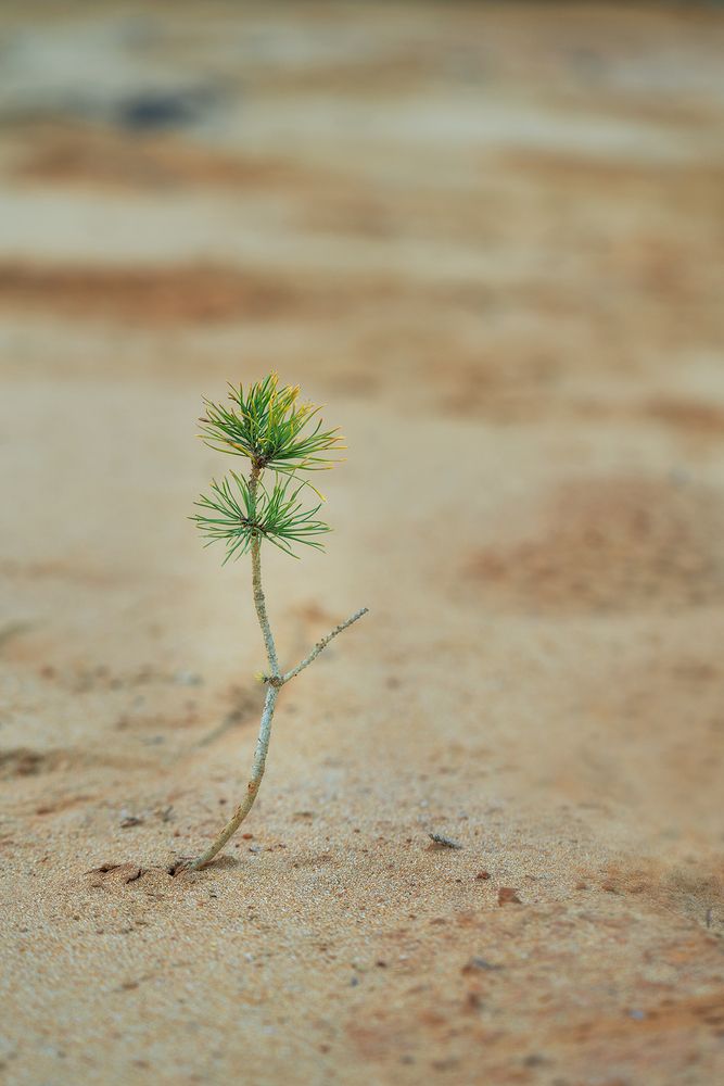 Photograph by Завьялова Людмила