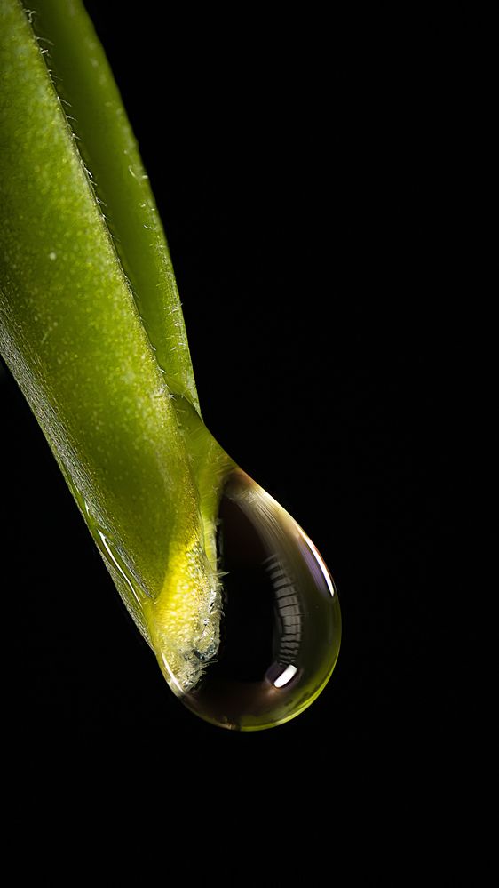 Photograph by Андрей Кривов