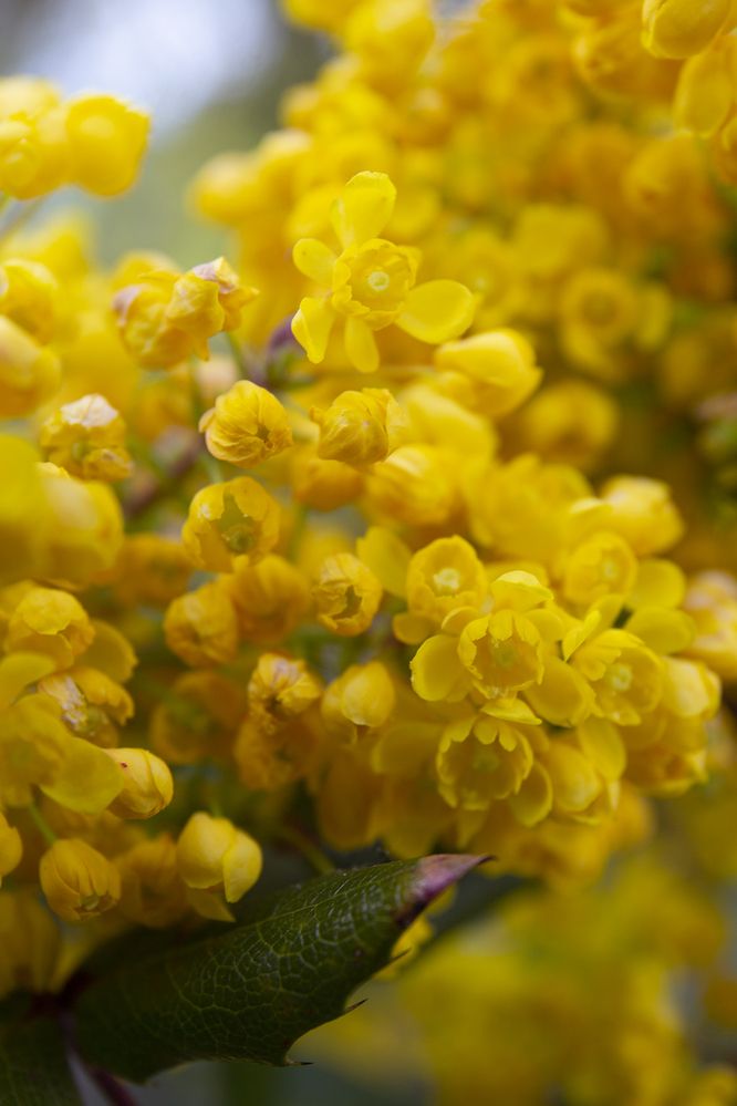 Фотография автора Александра Константинова