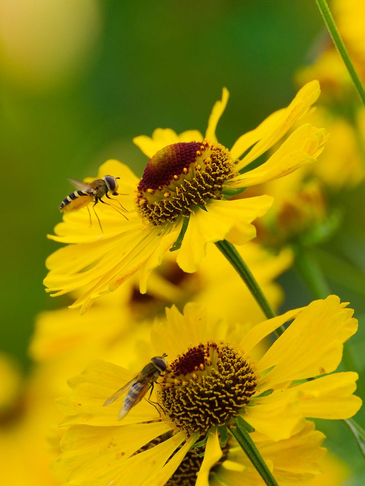 Photograph by Денис Горелов