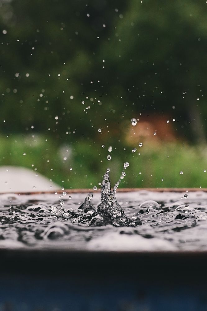 Photograph by Дарья Гомза