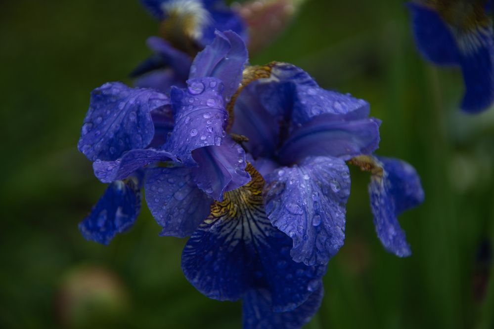 Photograph by Ксения Малютина