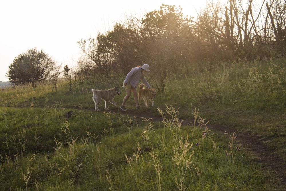 Photograph by Мария Бобылева