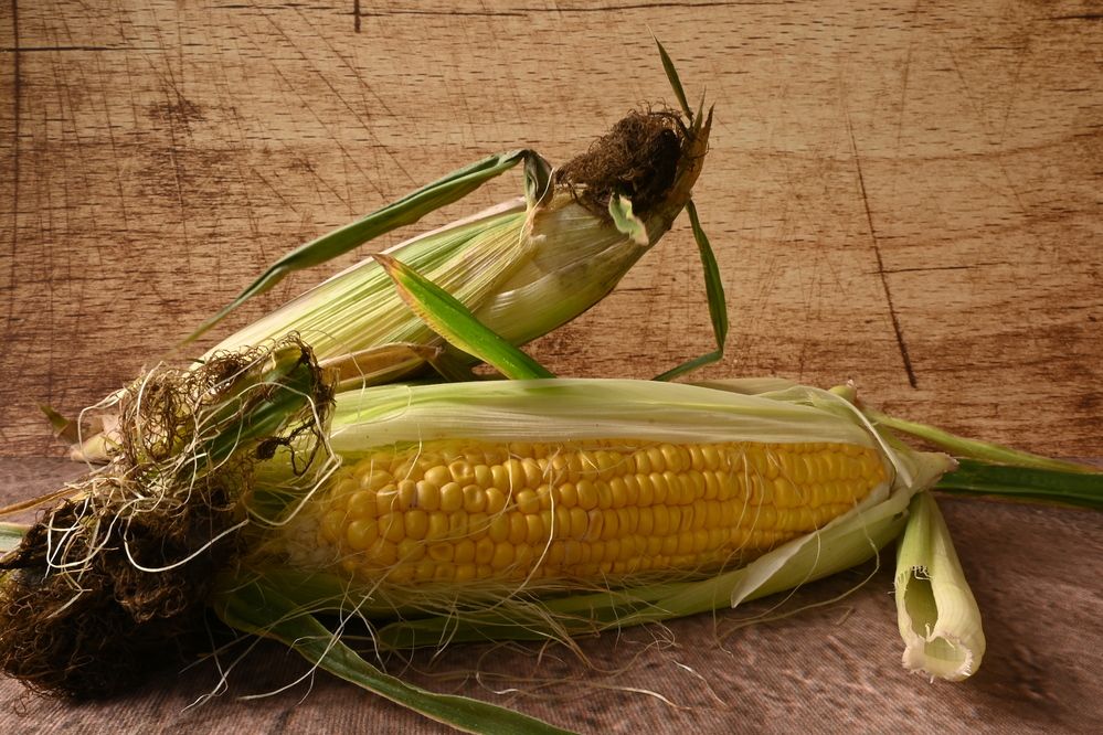 Photograph by esti lahat