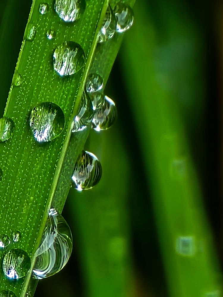 Фотография автора Нина Зинченко