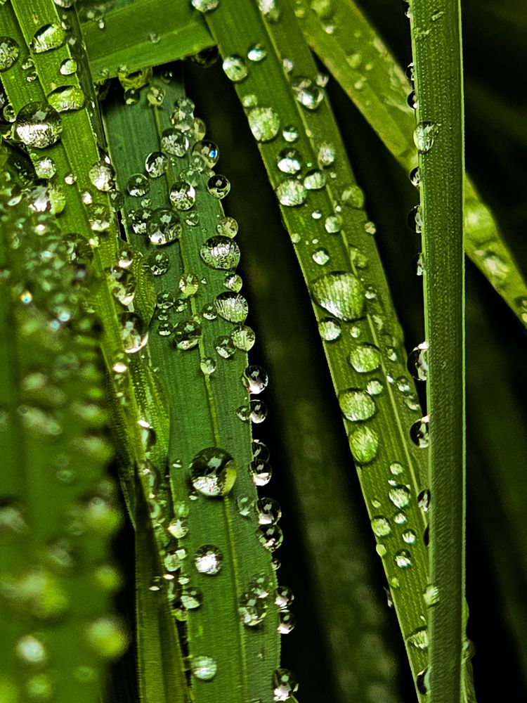 Фотография автора Нина Зинченко