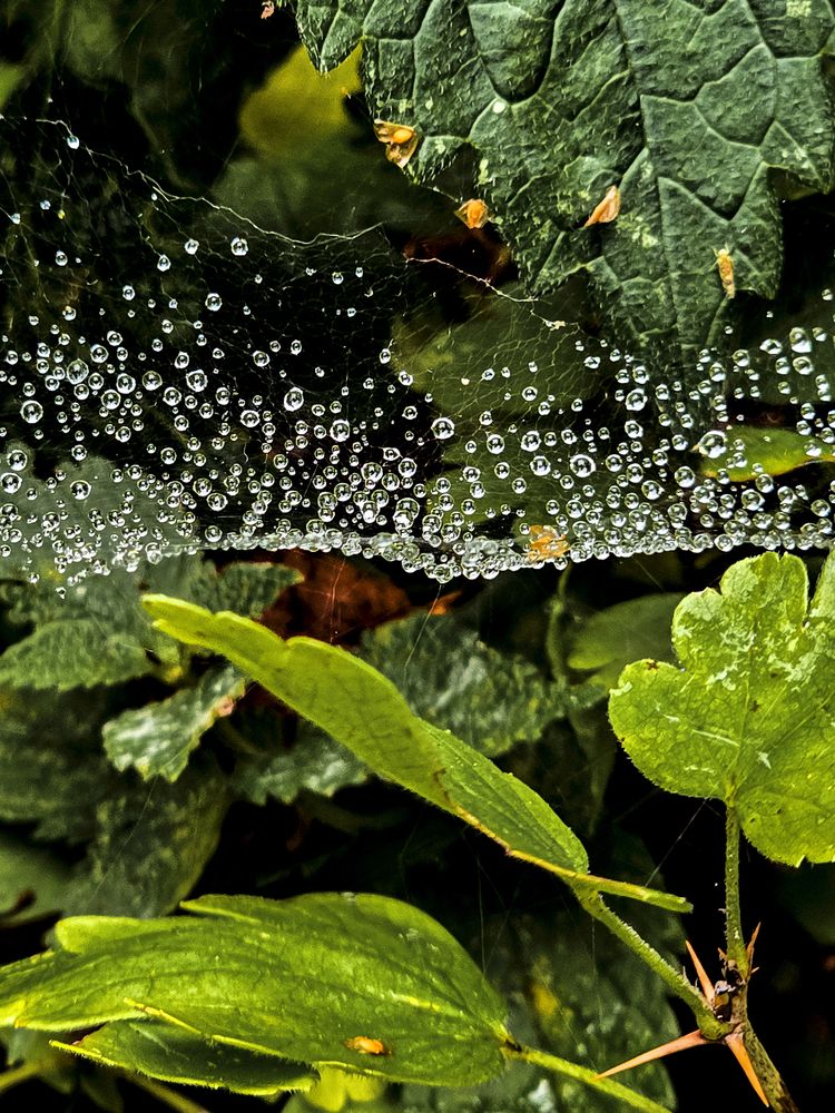 Фотография автора Нина Зинченко