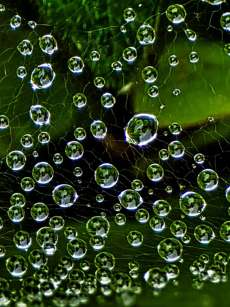 Фотография автора Нина Зинченко