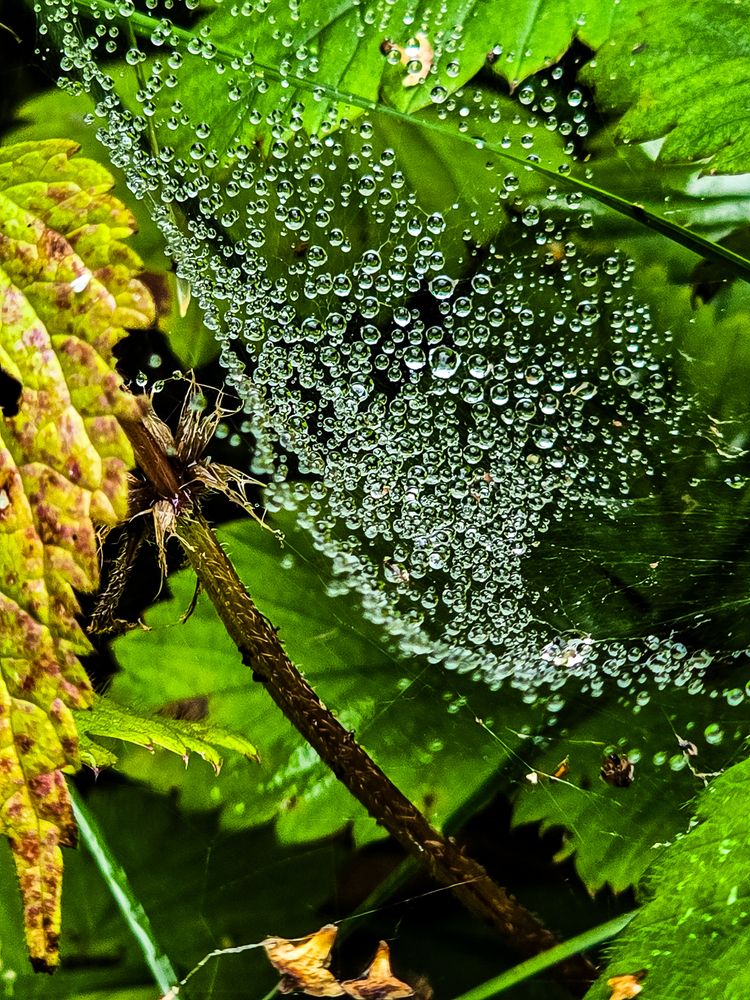 Фотография автора Нина Зинченко