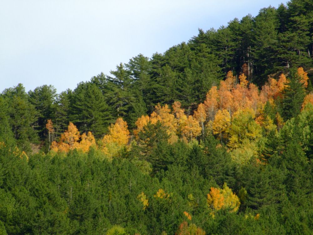 Photograph by Cengiz Yalcin