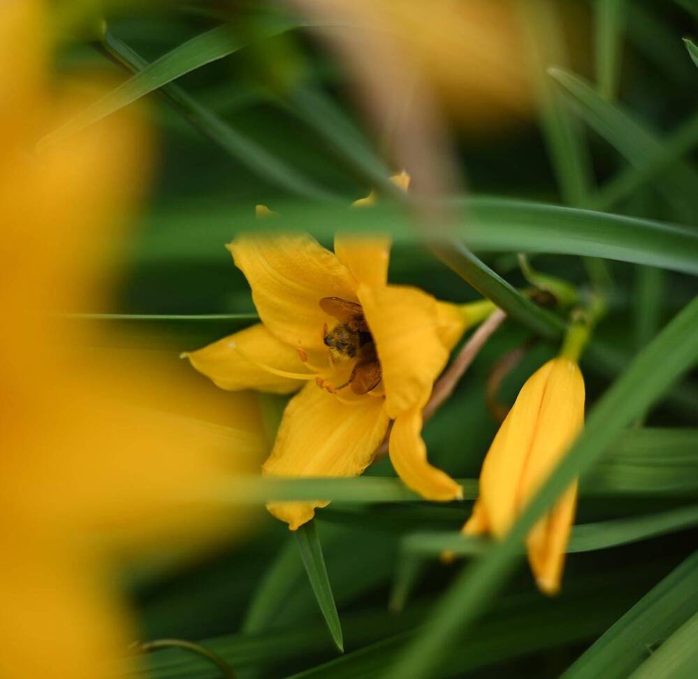 Photograph by Ксения