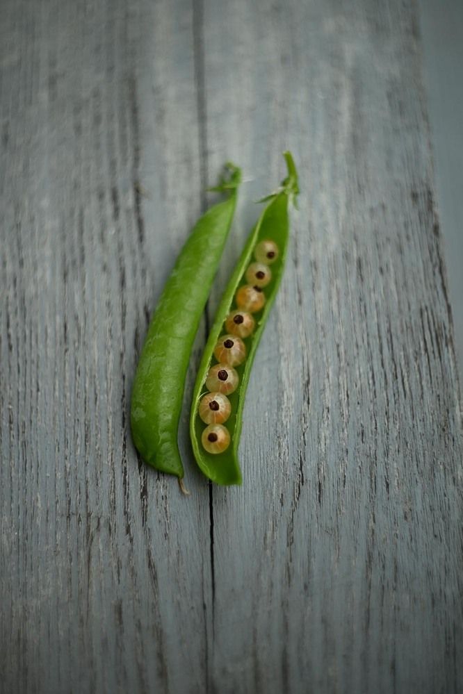 Photograph by Ксения