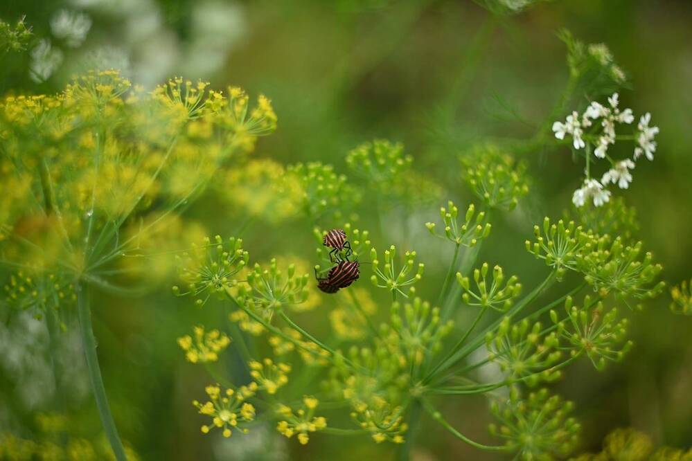 Photograph by Ксения