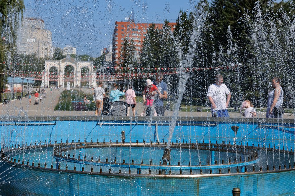 Фотография автора Aleksandr P.