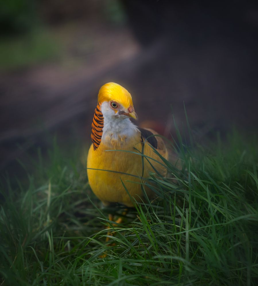 Photograph by Светлана Алексеева