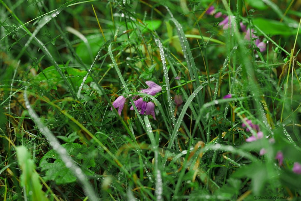 Фотография автора Aleksandr P.