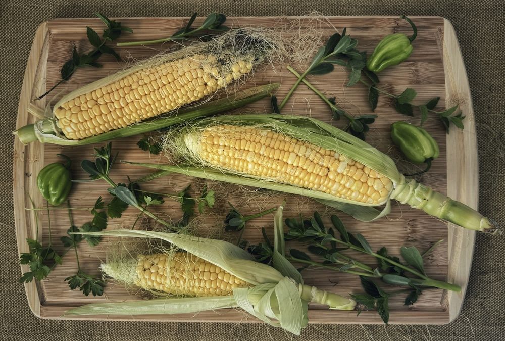 Photograph by Кира Бахвалова