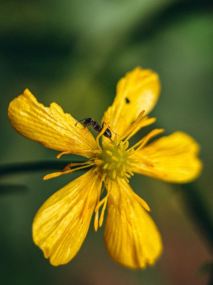 Photograph by Марина Харитонова