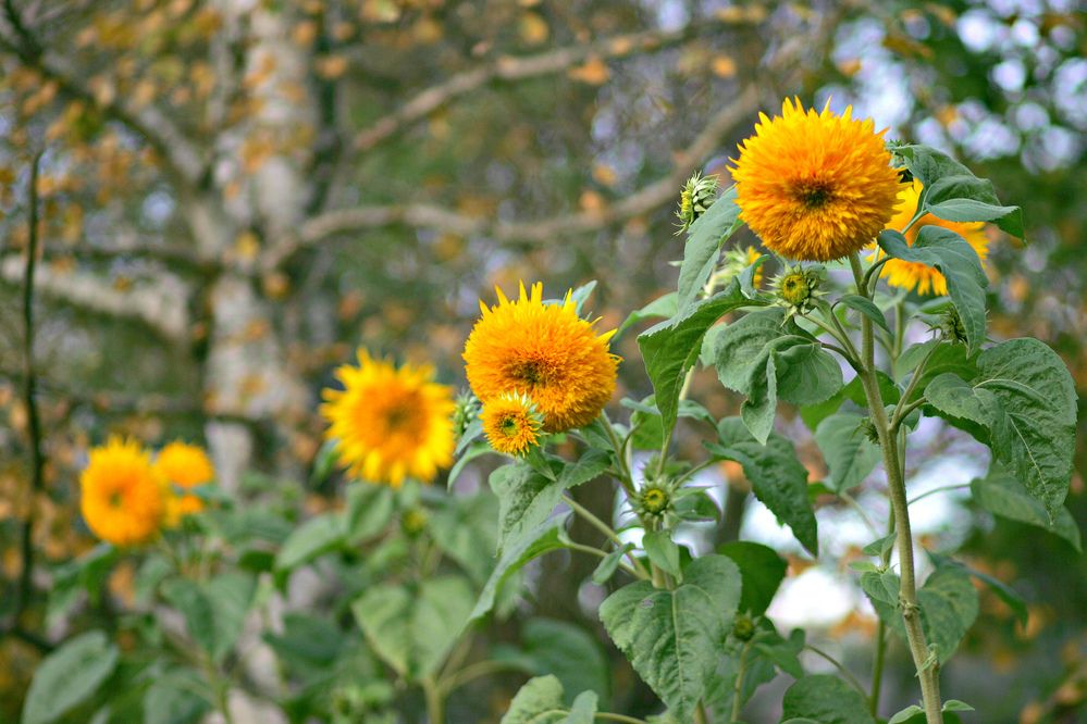 Photograph by Арина Прокшина