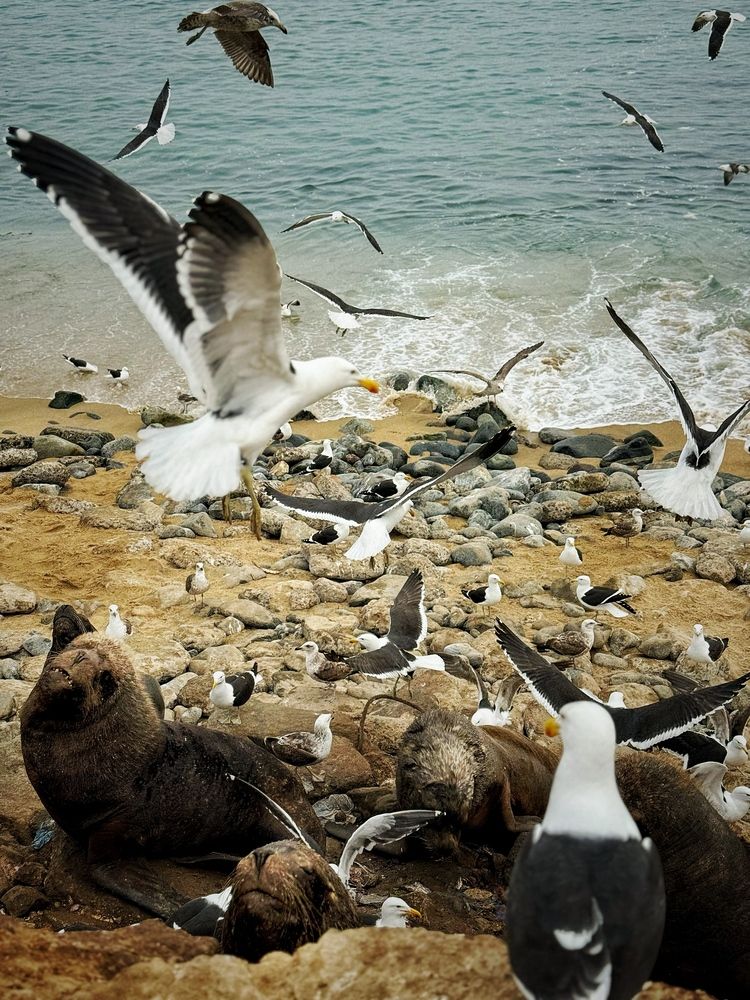 Photograph by Юлия Порфирьева