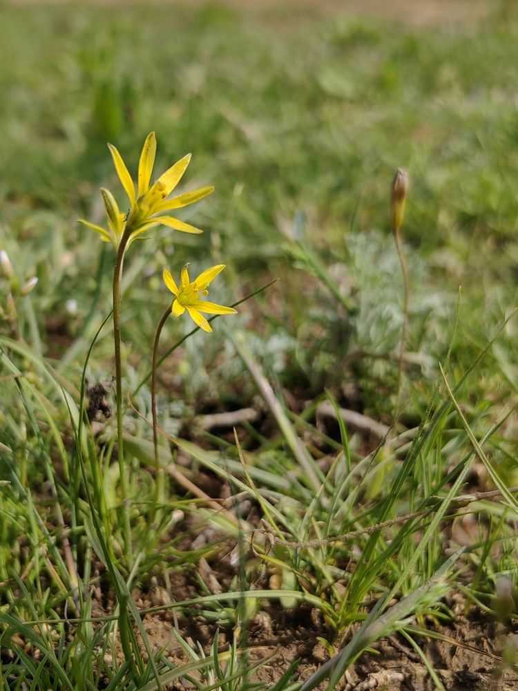 Photograph by Ульяна Кузьмина