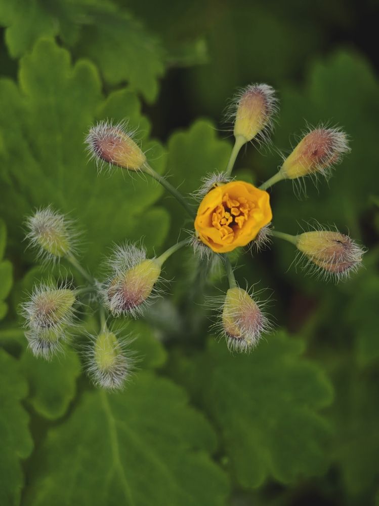 Фотография автора Наташа Данилова