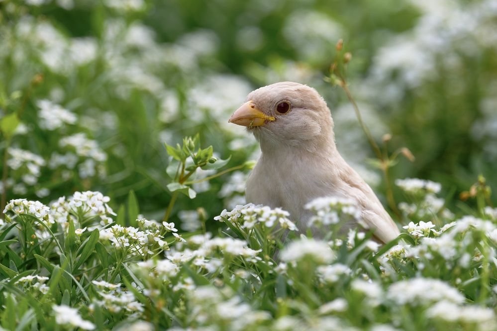Photograph by Артём Кривошеев