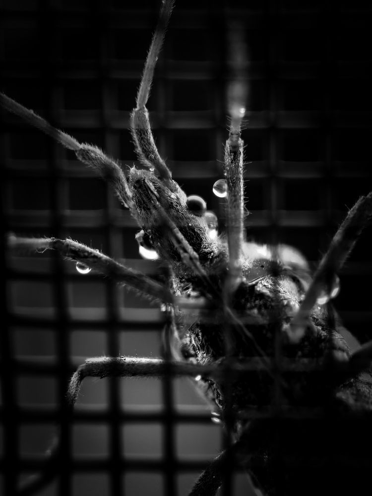 Фотография автора Еремеева Лада