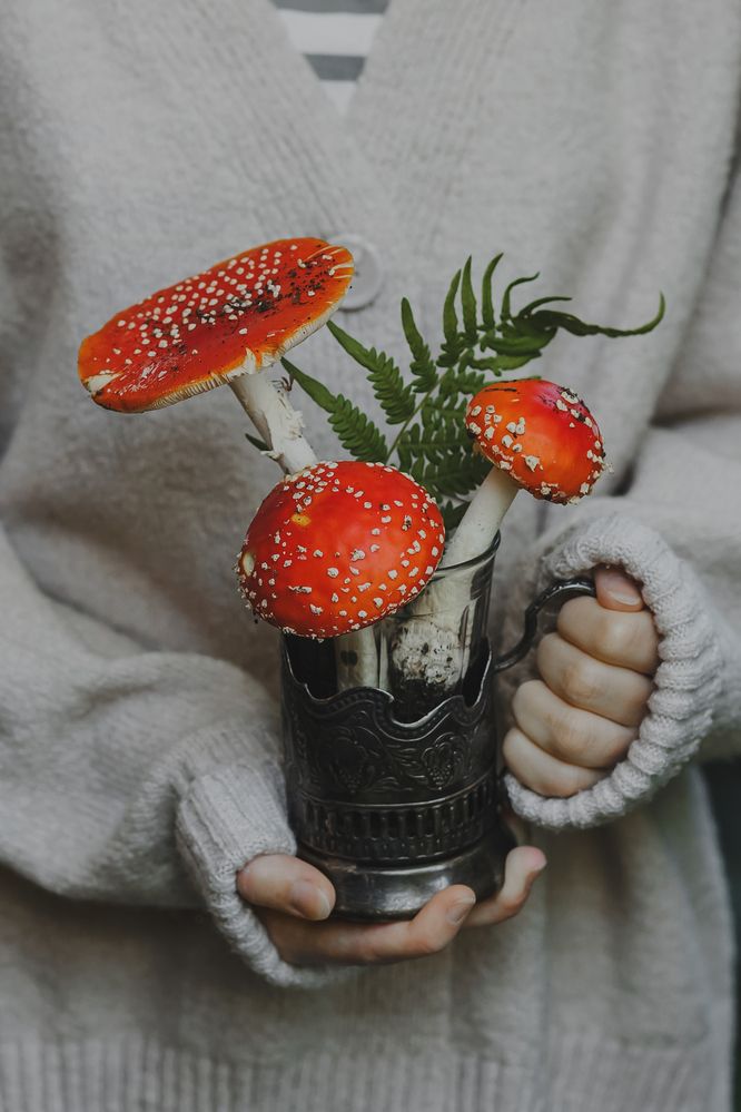 Photograph by Анна Ушакова