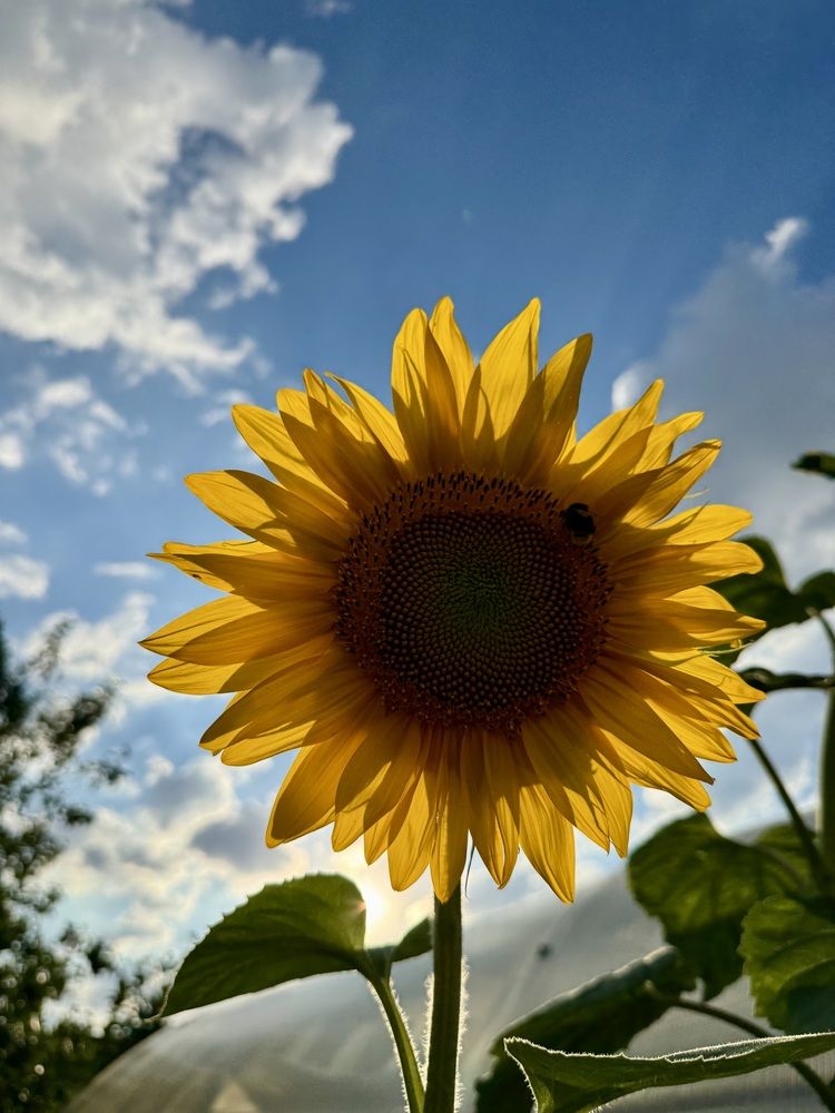 Photograph by Арина Бурда