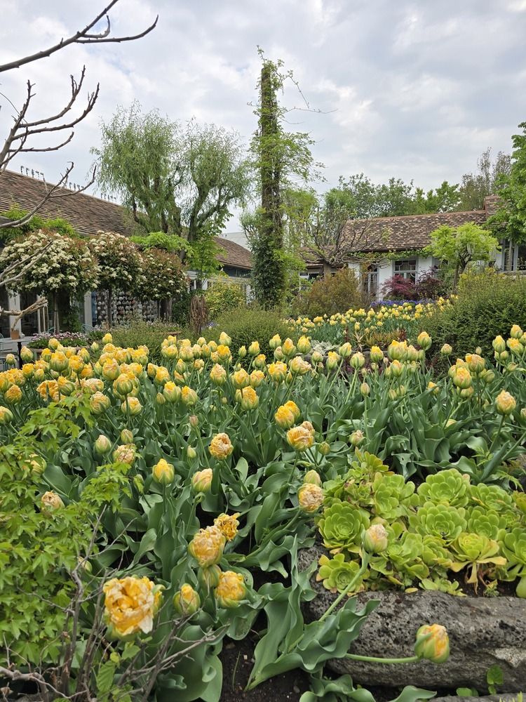 Photograph by Yulia Rotbach