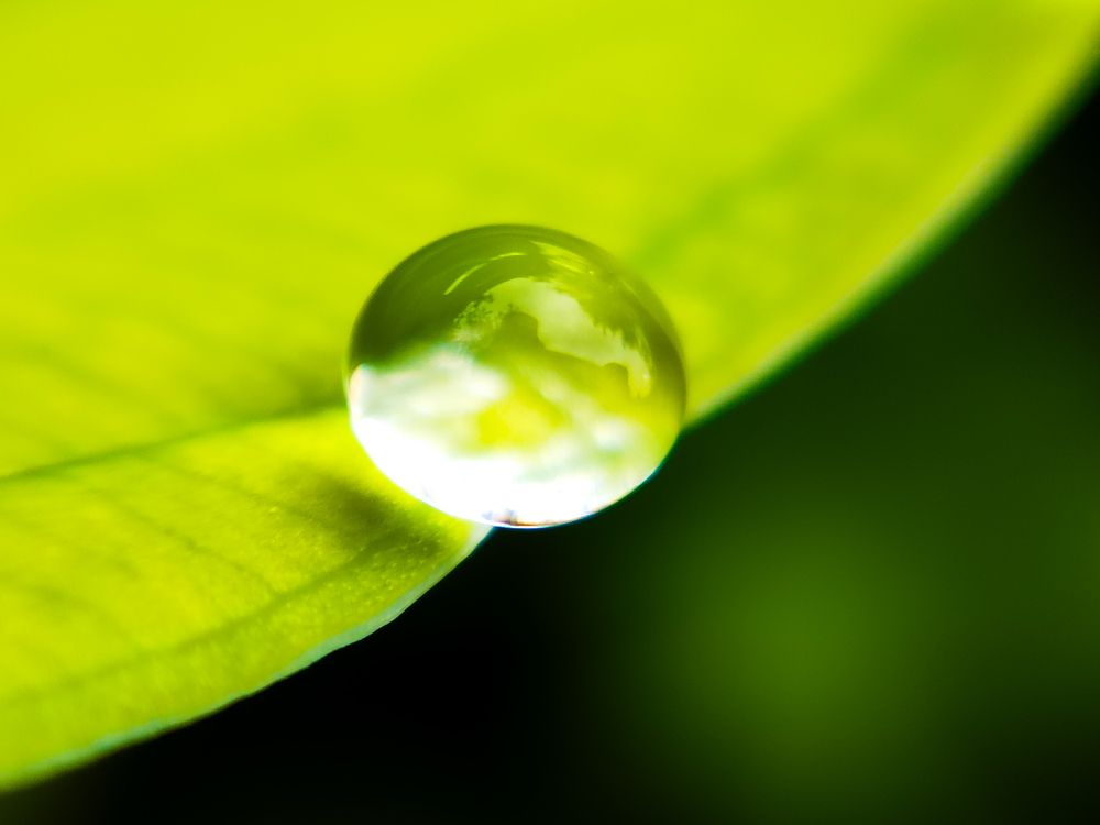 Photograph by Любовь Коровацкая