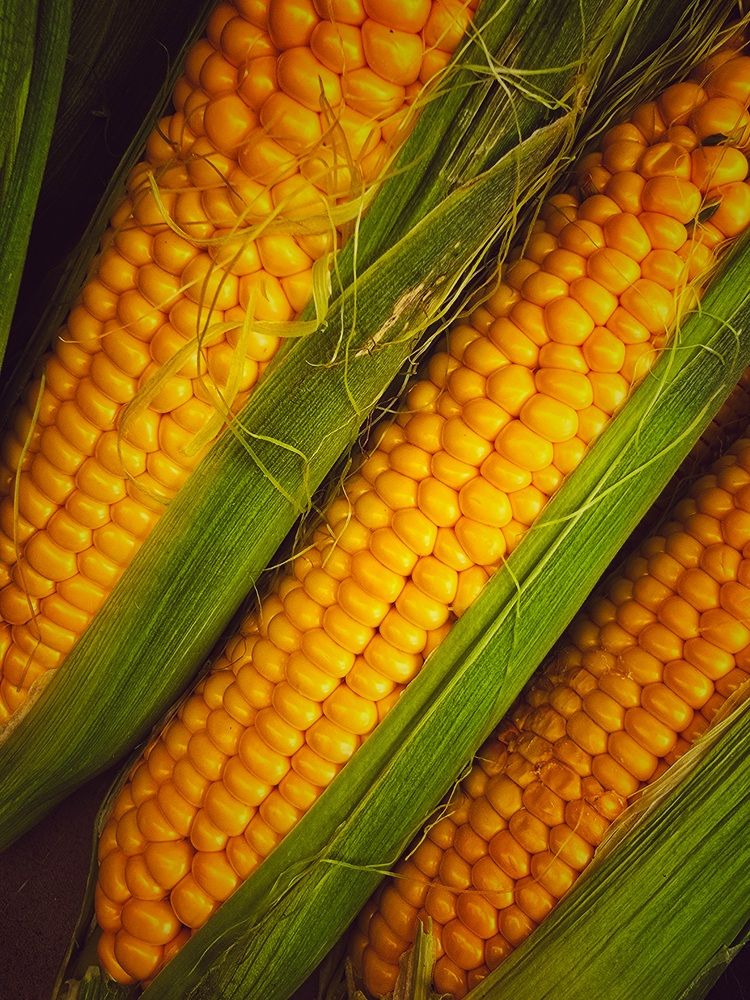 Photograph by Ирина Хлебникова