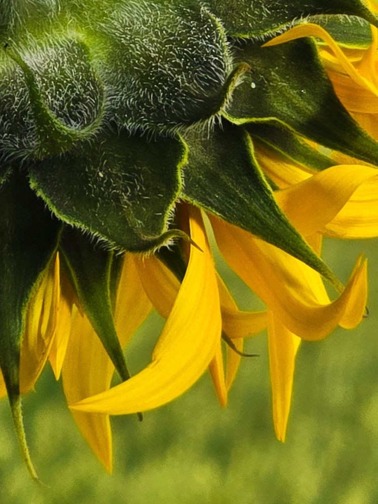 Photograph by Ирина Хлебникова